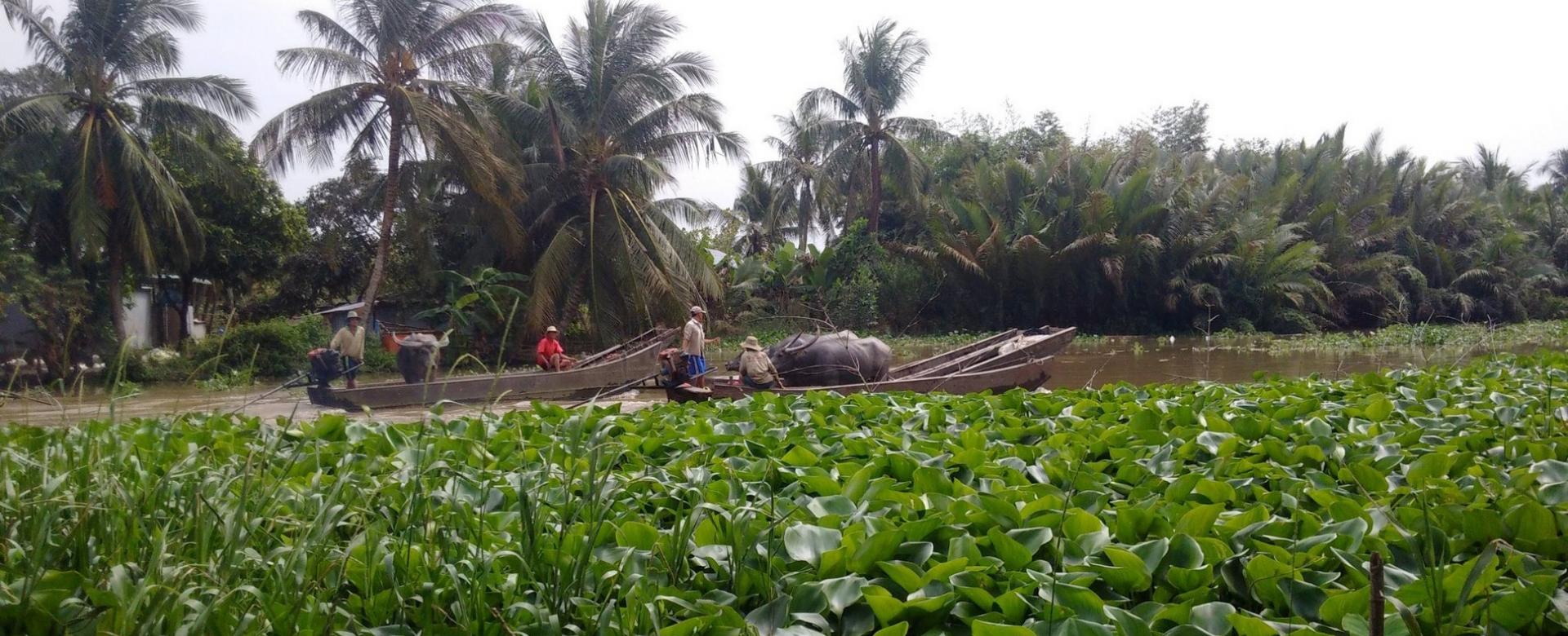 Cycling Ca Mau, Dat Mui End Cape, Mekong Delta, Vietnam's south pole Biking Mekong Delta to Tra Vinh, Soc Trang, Bac Lieu, Ca Mau, Rach Gia, Chau Doc, Long Xuyen, Can Tho