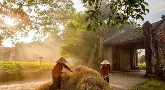 Explore Duong Lam Village by bicycle, beautiful countryside, traditional life of locals