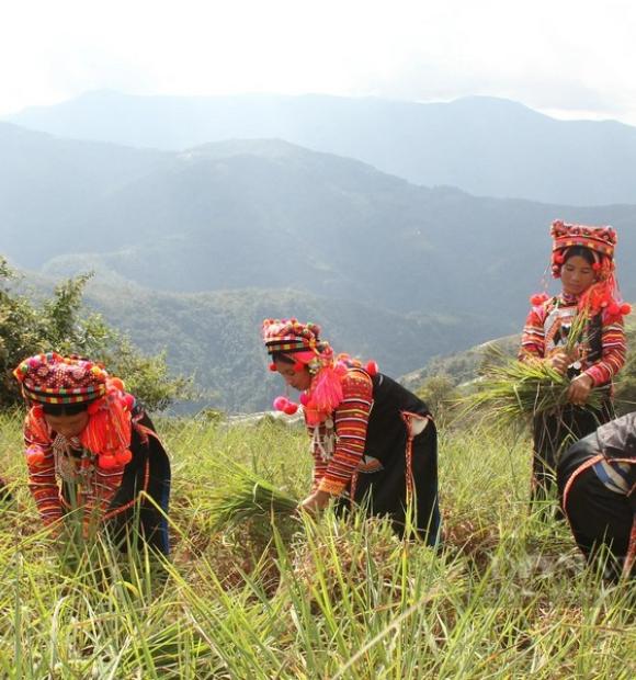 Cycling Vietnam's Northwest mountains, explore Muong Te