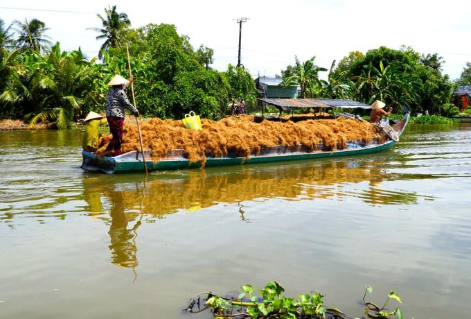 Mekong Bike Ride with Vietnam Cycling Tours