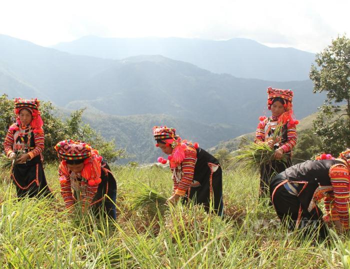 Cycling Vietnam's Northwest mountains, explore Muong Te